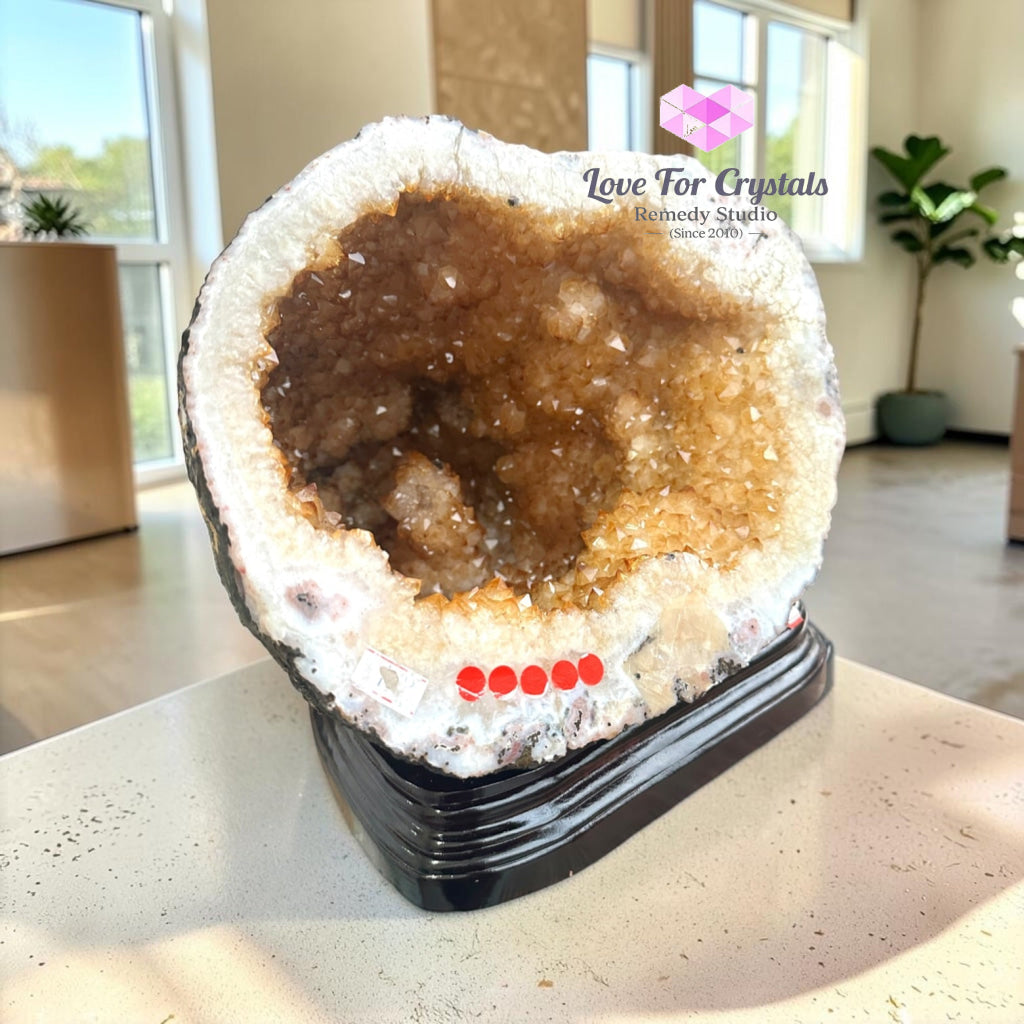 Citrine Cornucopia Money Catcher™ (RARE Wealth Container) 8.4kgs - 8.4kgs - Citrine