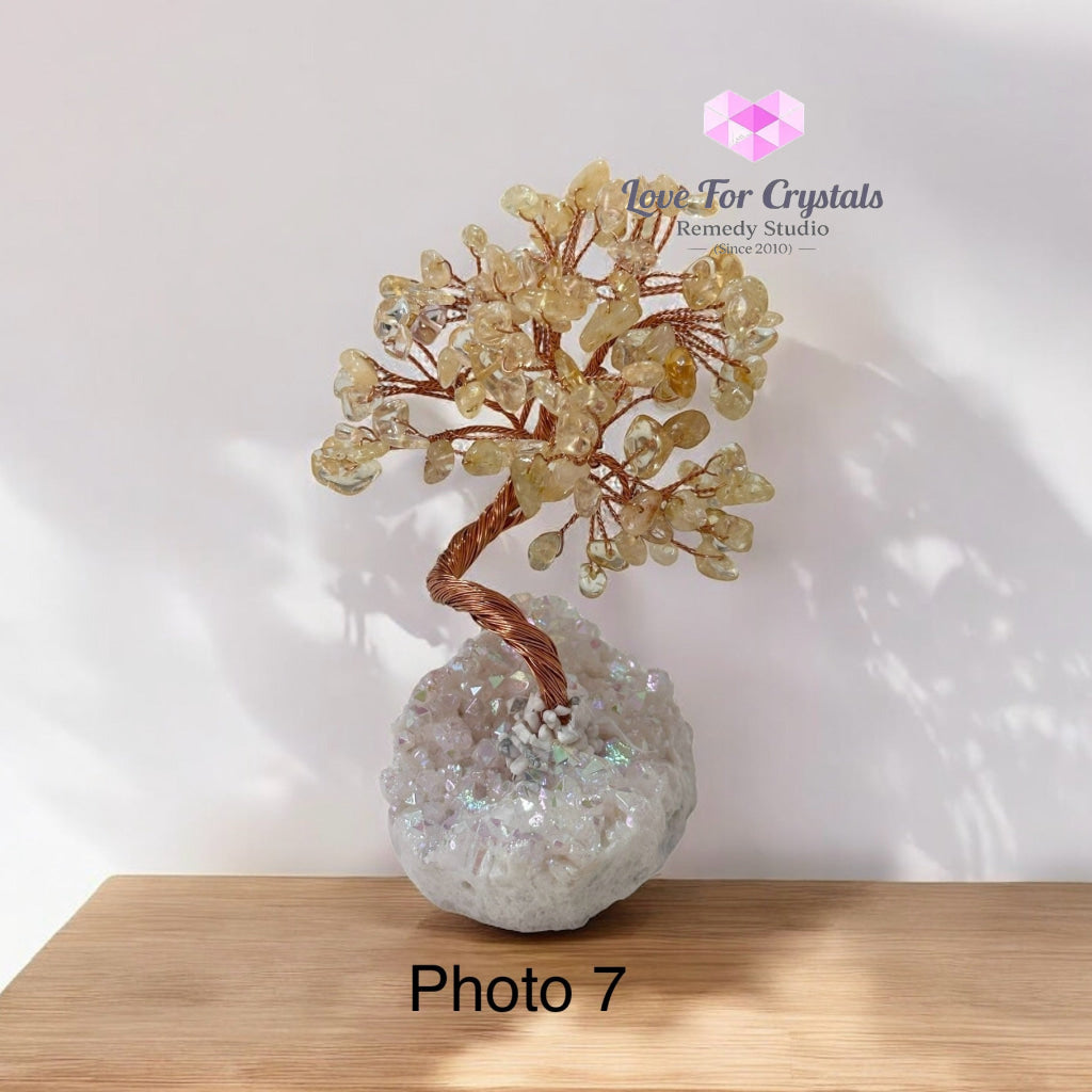 Citrine Crystal Tree on Aura Quartz (Prosperous Bloom) 90mm Pre-coded activated Photo 7 Crystal tree
