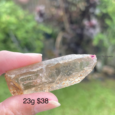 Citrine Natural Raw Points (Brazil) Aaa 23G 50Mm Stones