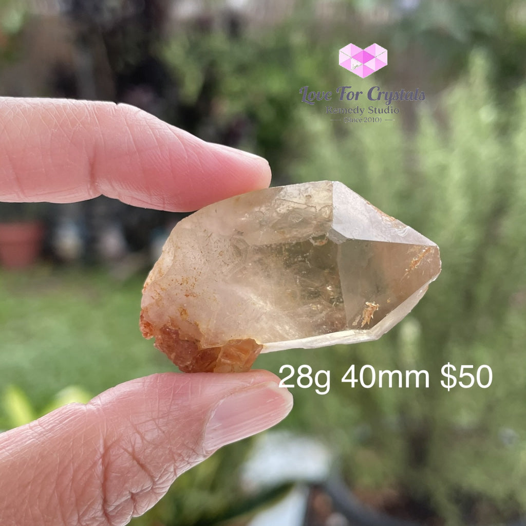 Citrine Natural Raw Points (Brazil) Aaa Stones