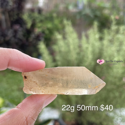 Citrine Natural Raw Points (Brazil) Aaa Stones