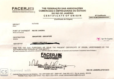 Citrine Smoky Points Natural (Brazil) Aaa