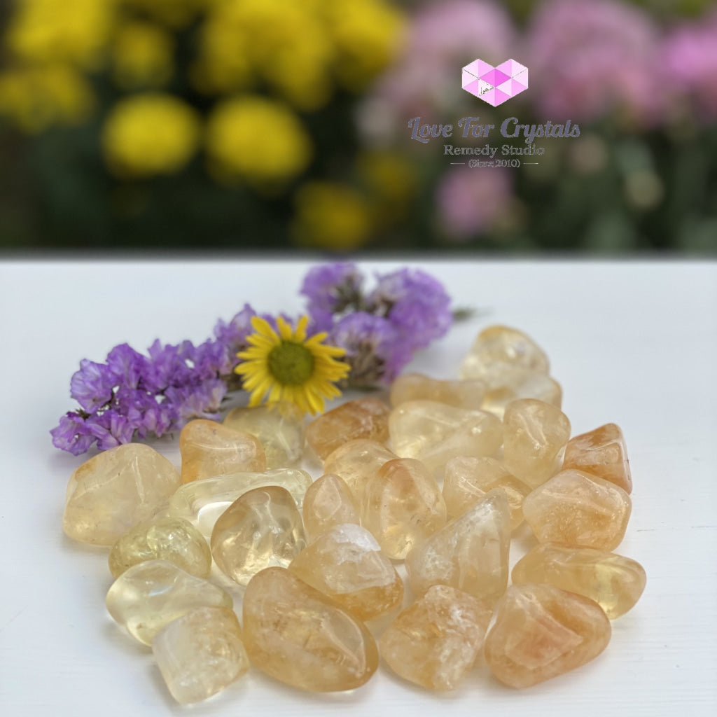 Citrine Tumbled (Brazil) Aaa (Per Pack) Stones