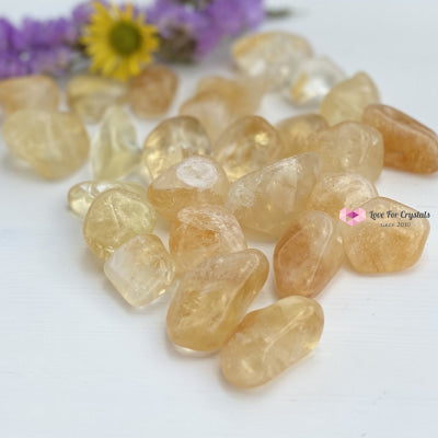 Citrine Tumbled (Brazil) Aaa (Per Pack) Stones