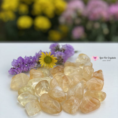 Citrine Tumbled (Brazil) Aaa (Per Pack) Stones