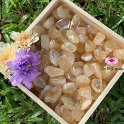 Citrine Tumbled Stones Aaa (Brazil) 50G Pack