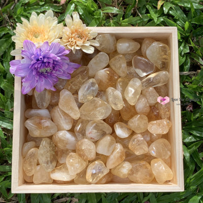 Citrine Tumbled Stones Aaa (Brazil) 50G Pack