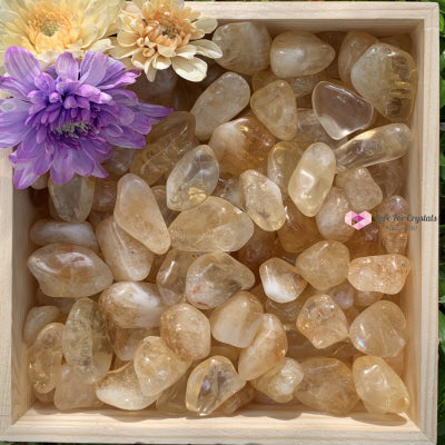 Citrine Tumbled Stones Aaa (Brazil) 50G Pack
