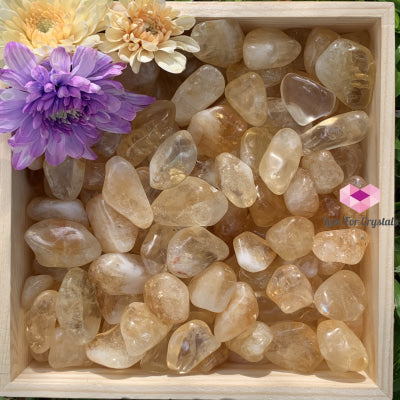 Citrine Tumbled Stones Aaa (Brazil) 50G Pack