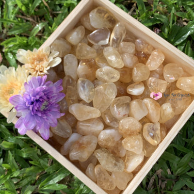 Citrine Tumbled Stones Aaa (Brazil) 50G Pack