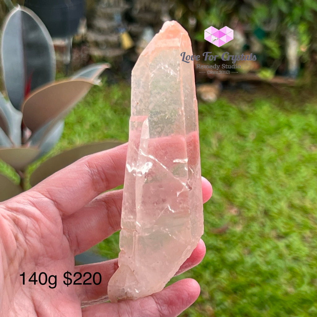 Clear Pink Lemurian Seed Crystal (Brazil) Aaaa Grade Medium To Large Pieces 140G 120Mm Raw Stones