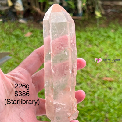 Clear Pink Lemurian Seed Crystal (Brazil) Aaaa Grade Medium To Large Pieces 226G 140Mm