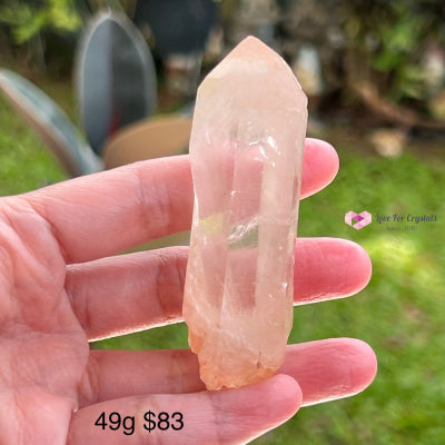 Clear Pink Lemurian Seed Crystal (Brazil) Aaaa Grade Medium To Large Pieces 49G 75Mm Raw Stones