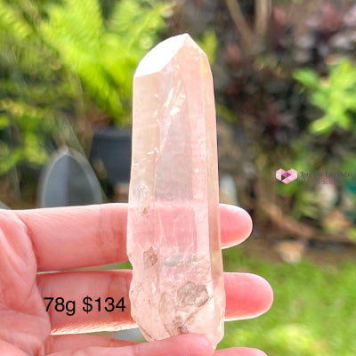 Clear Pink Lemurian Seed Crystal (Brazil) Aaaa Grade Medium To Large Pieces Raw Stones