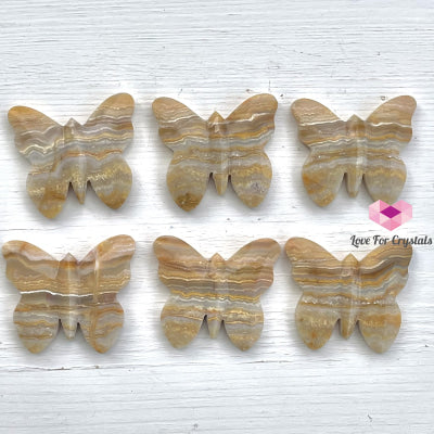 Crazy Lace Agate Carved Butterfly (Handcarved) Crystal