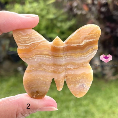 Crazy Lace Agate Carved Butterfly (Handcarved) Photo 2 Crystal