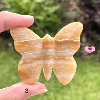 Crazy Lace Agate Carved Butterfly (Handcarved) Photo 3 Crystal
