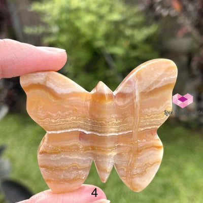 Crazy Lace Agate Carved Butterfly (Handcarved) Photo 4 Crystal