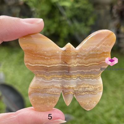 Crazy Lace Agate Carved Butterfly (Handcarved) Photo 5 Crystal