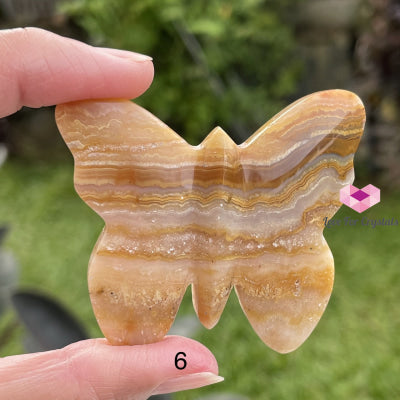 Crazy Lace Agate Carved Butterfly (Handcarved) Photo6 Crystal