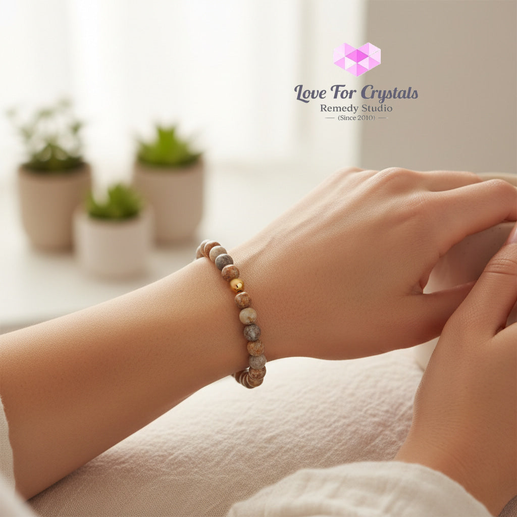 Crazy Lace Agate Emotional Stability 6mm Bracelet with 14k gold filled bead Bracelets & Bangles