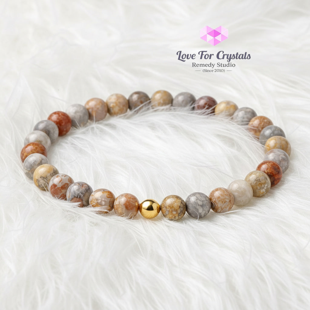 Crazy Lace Agate Emotional Stability 6mm Bracelet with 14k gold filled bead Bracelets & Bangles