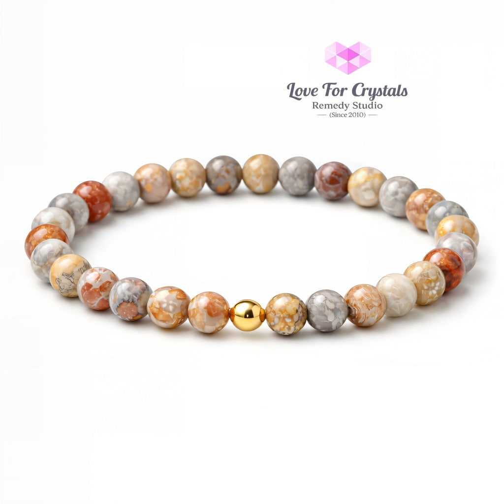 Crazy Lace Agate Emotional Stability 6mm Bracelet with 14k gold filled bead Bracelets & Bangles
