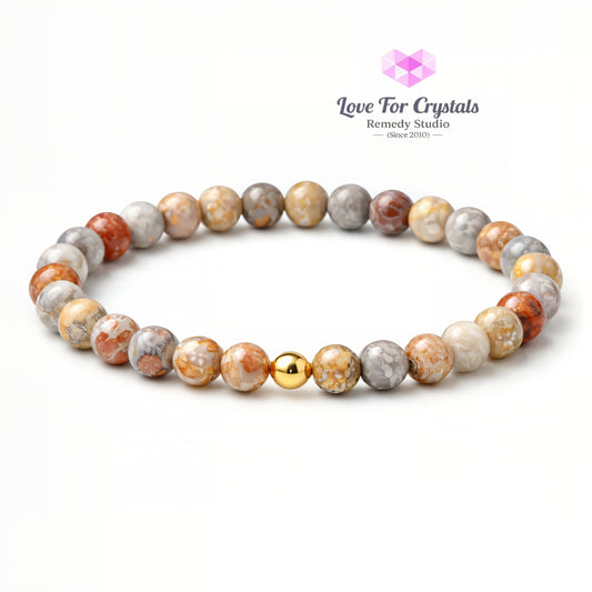 Crazy Lace Agate Emotional Stability 6mm Bracelet with 14k gold filled bead Bracelets & Bangles