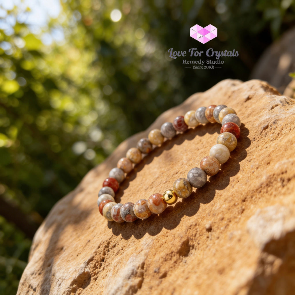 Crazy Lace Agate Emotional Stability 6mm Bracelet with 14k gold filled bead Bracelets & Bangles
