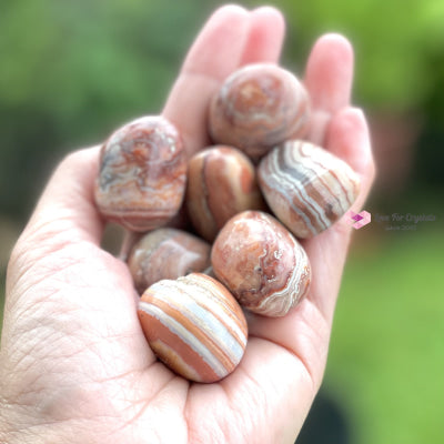 Crazy Lace Agate Tumbled Pebbles (30-40Mm) Stones