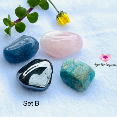 Crystal Remedy Sets For Pets (4 Stones) Set B