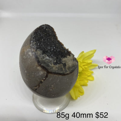 Dragon Stone Septarian Egg Geode (Madagascar) 91G 49Mm Polished Stones