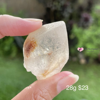 Dreamsicle Lemurian Quartz (Rare!) Brazil Raw Stones