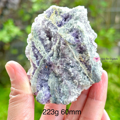 Fluorite Cluster (Mexico)Collectors & Rare! 223G 60Mm Crystals