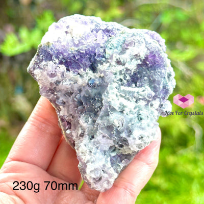 Fluorite Cluster (Mexico)Collectors & Rare! 230G 70Mm Crystals