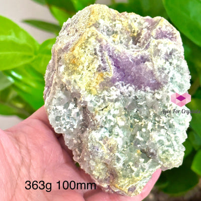 Fluorite Cluster (Mineral Gallery) Mexico 363G 100Mm Crystals