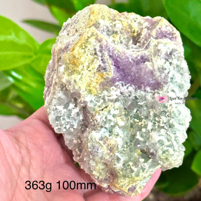 Fluorite Cluster (Mineral Gallery) Mexico 363G 100Mm Crystals