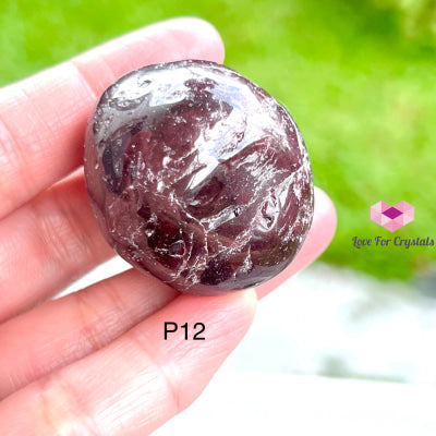 Garnet Tumbled (Brazil) Photo 12 Stones