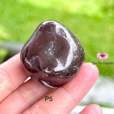 Garnet Tumbled (Brazil) Photo 5 Stones