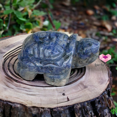 Gemstones Carved Turtles 50Mm (Per Piece) Blue Sodalite Crystals