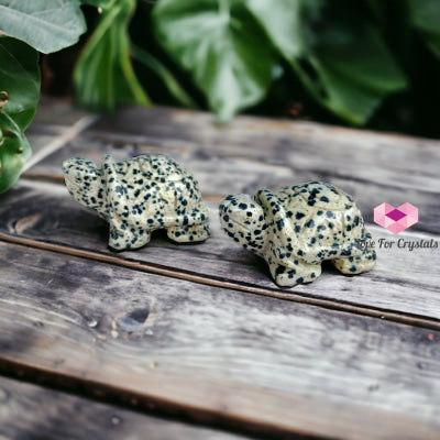 Gemstones Carved Turtles 50Mm (Per Piece) Dalmatian Quartz Crystals