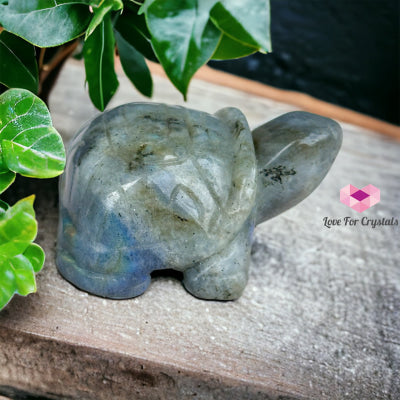 Gemstones Carved Turtles 50Mm (Per Piece) Labradorite Crystals