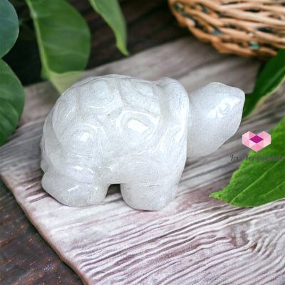 Gemstones Carved Turtles 50Mm (Per Piece) White Jade Crystals