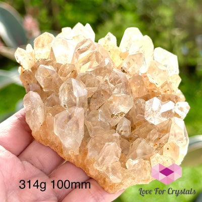 Golden Amethyst Natural Cluster (Brazil) 314G 100Mm Crystals