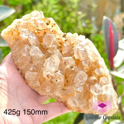 Golden Amethyst Natural Cluster (Brazil) 425G 150Mm Crystals