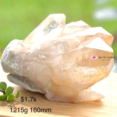 Golden Healer Lemurian Clusters Aaa (Brazil) Rare 1215G 160Mm