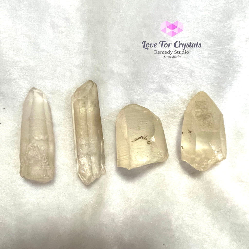 Golden Healer Lemurian Seed Raw Stones