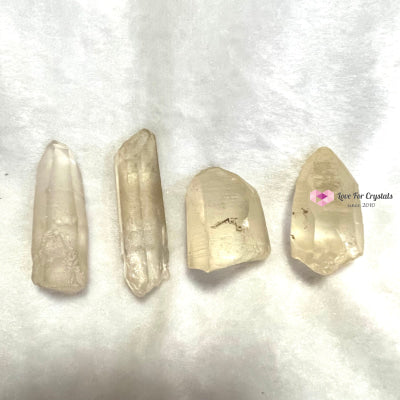 Golden Healer Lemurian Seed Raw Stones
