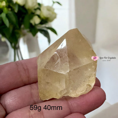 Golden Healer Point (Good Health Activator) Brazil 59G 40Mm Raw Points