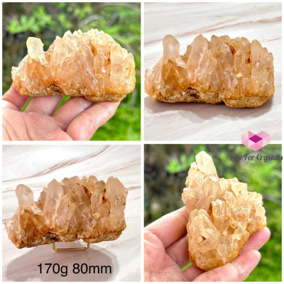 Golden Healer Quartz Cluster (Brazil) Collectors & Rare! Quartz